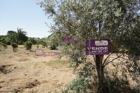 Helårsgrund i Entroncamento, Santarem, Entroncamento - € 165.000 | Ref: 1797 - foto 2