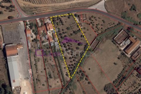 Helårsgrund i Entroncamento, Santarem, Entroncamento - € 165.000 | Ref: 1797 - foto 3