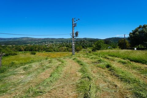 Helårsgrund i Valenca, Viana do Castelo, Valenca - € 55.000 | Ref: 3699 - foto 3