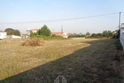 Helårsgrund i Estarreja, Aveiro, Estarreja - € 60.000 | Ref: 6/2015 - foto 3
