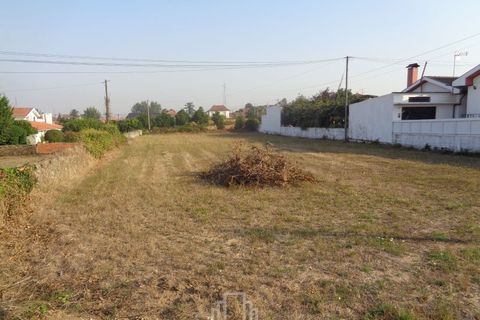 Helårsgrund i Estarreja, Aveiro, Estarreja - € 60.000 | Ref: 6/2015 - foto 4
