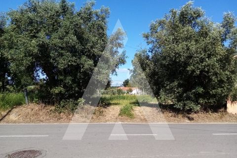 Helårsgrund i Anadia, Aveiro, Anadia - € 29.000 | Ref: 1030472/21BL - foto 3
