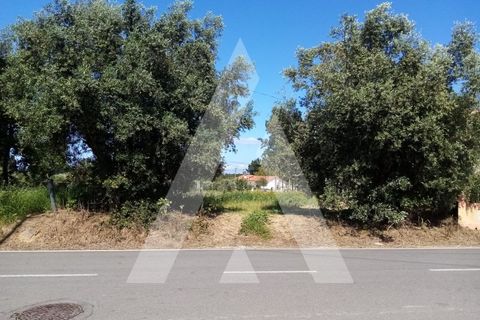 Helårsgrund i Anadia, Aveiro, Anadia - € 29.000 | Ref: 1030472/21BL - foto 5