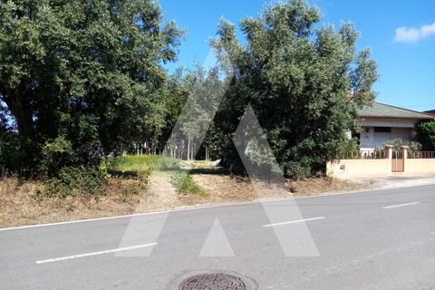 Helårsgrund i Anadia, Aveiro, Anadia - € 29.000 | Ref: 1030472/21BL - foto 6