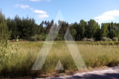 Helårsgrund i Anadia, Aveiro, Anadia - € 9.000 | Ref: 1030473/21BL - foto 4