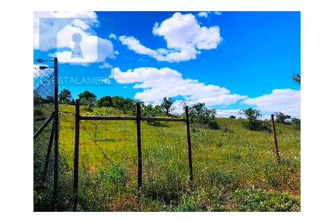 Helårsgrund i Guia, Faro, Guia - € 149.900 | Ref: VP1641 - foto 2