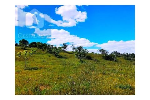 Helårsgrund i Guia, Faro, Guia - € 149.900 | Ref: VP1641 - foto 3