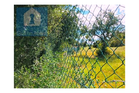 Helårsgrund i Guia, Faro, Guia - € 149.900 | Ref: VP1641 - foto 9