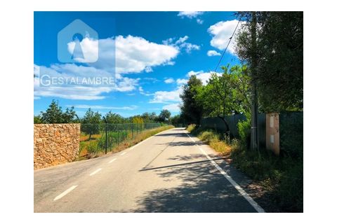 Helårsgrund i Guia, Faro, Guia - € 149.900 | Ref: VP1641 - foto 4