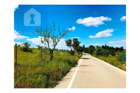 Helårsgrund i Guia, Faro, Guia - € 149.900 | Ref: VP1641 - foto 5