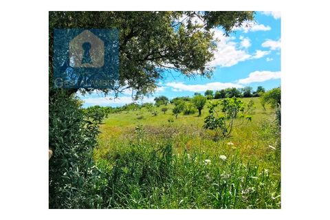 Helårsgrund i Guia, Faro, Guia - € 149.900 | Ref: VP1641 - foto 6