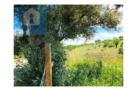 Helårsgrund i Guia, Faro, Guia - € 149.900 | Ref: VP1641 - foto 7