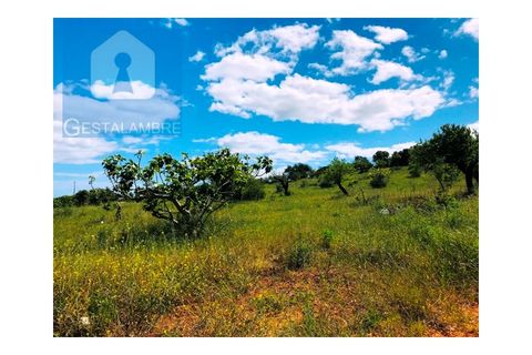 Helårsgrund i Guia, Faro, Guia - € 149.900 | Ref: VP1641 - foto 8