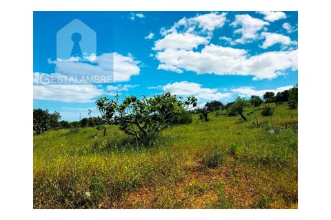 Helårsgrund i Guia, Faro, Guia - € 149.900 | Ref: VP1641 - foto 10
