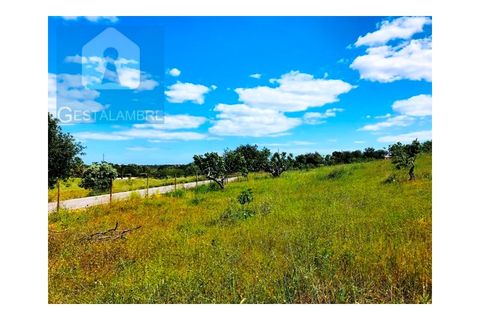 Helårsgrund i Guia, Faro, Guia - € 149.900 | Ref: VP1641 - foto 11