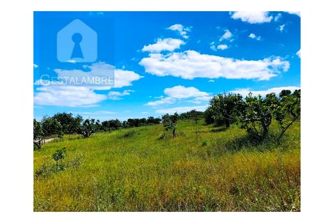 Helårsgrund i Guia, Faro, Guia - € 149.900 | Ref: VP1641 - foto 13