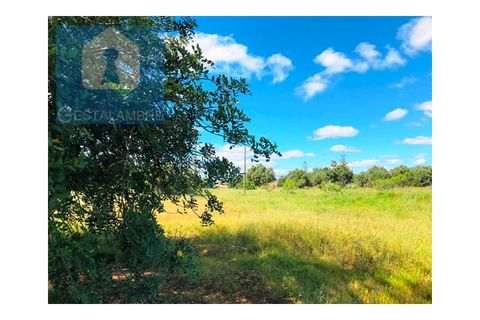 Helårsgrund i Guia, Faro, Guia - € 149.900 | Ref: VP1641 - foto 14