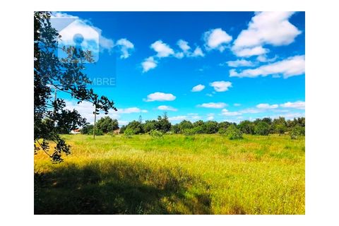 Helårsgrund i Guia, Faro, Guia - € 149.900 | Ref: VP1641 - foto 12