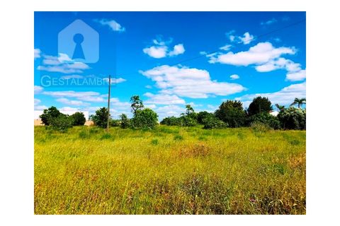 Helårsgrund i Guia, Faro, Guia - € 149.900 | Ref: VP1641 - foto 15