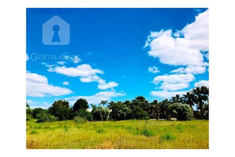 Helårsgrund i Guia, Faro, Guia - € 149.900 | Ref: VP1641 - foto 16