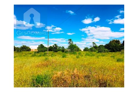 Helårsgrund i Guia, Faro, Guia - € 149.900 | Ref: VP1641 - foto 17