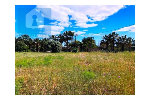 Helårsgrund i Guia, Faro, Guia - € 149.900 | Ref: VP1641 - foto 20