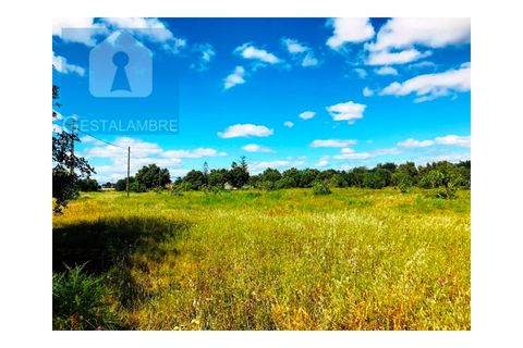 Helårsgrund i Guia, Faro, Guia - € 149.900 | Ref: VP1641 - foto 19