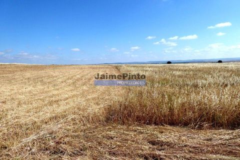 Helårsgrund i Beja, Beja, Beja - € 855.000 | Ref: 8710_T - foto 2