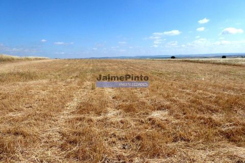 Helårsgrund i Beja, Beja, Beja - € 855.000 | Ref: 8710_T - foto 1
