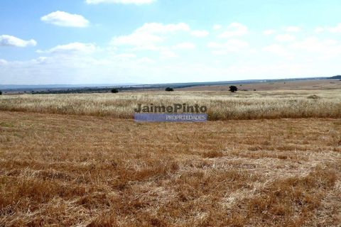 Helårsgrund i Beja, Beja, Beja - € 855.000 | Ref: 8710_T - foto 3