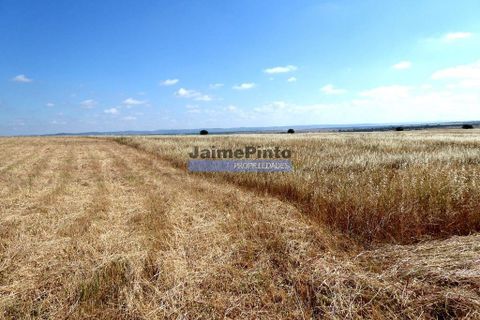 Helårsgrund i Beja, Beja, Beja - € 855.000 | Ref: 8710_T - foto 4