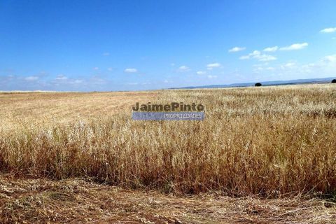 Helårsgrund i Beja, Beja, Beja - € 855.000 | Ref: 8710_T - foto 5