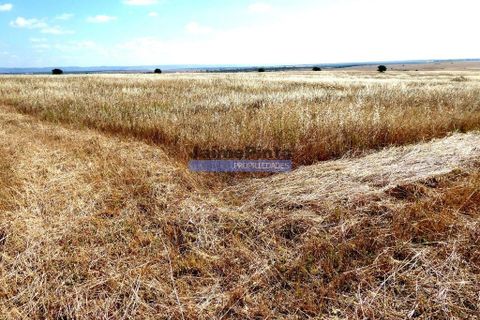 Helårsgrund i Beja, Beja, Beja - € 855.000 | Ref: 8710_T - foto 6