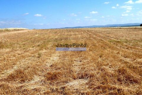 Helårsgrund i Beja, Beja, Beja - € 855.000 | Ref: 8710_T - foto 7