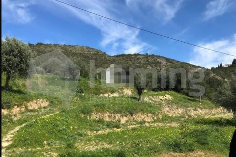 Helårsgrund i Conceicao e Estoi, Faro, Conceicao e Estoi - € 80.000 | Ref: TER_737 (2) - foto 2