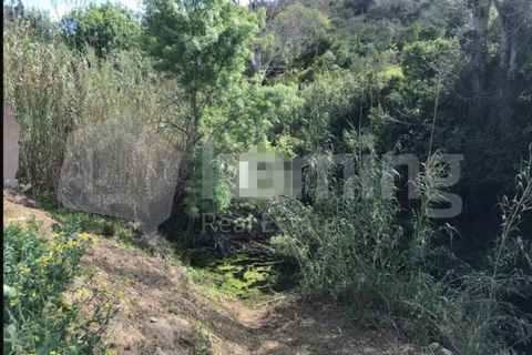 Helårsgrund i Conceicao e Estoi, Faro, Conceicao e Estoi - € 80.000 | Ref: TER_737 (2) - foto 3