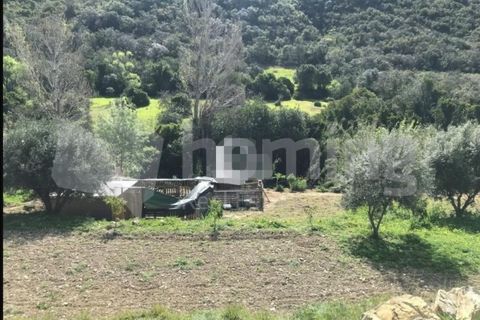 Helårsgrund i Conceicao e Estoi, Faro, Conceicao e Estoi - € 80.000 | Ref: TER_737 (2) - foto 5