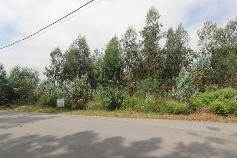Erhvervsejendom i Agueda, Aveiro, Agueda - € 160.000 | Ref: IMO_180 - foto 2