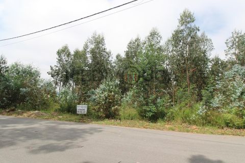 Erhvervsejendom i Agueda, Aveiro, Agueda - € 160.000 | Ref: IMO_180 - foto 3
