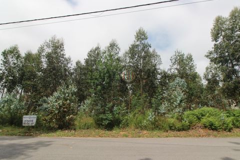 Erhvervsejendom i Agueda, Aveiro, Agueda - € 160.000 | Ref: IMO_180 - foto 4