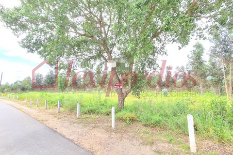 Helårsgrund i Agueda, Aveiro, Agueda - € 150.000 | Ref: AG 3625 - foto 2