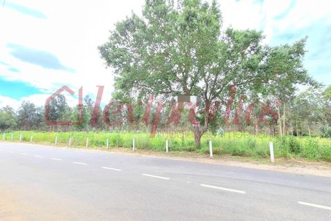 Helårsgrund i Agueda, Aveiro, Agueda - € 150.000 | Ref: AG 3625 - foto 3