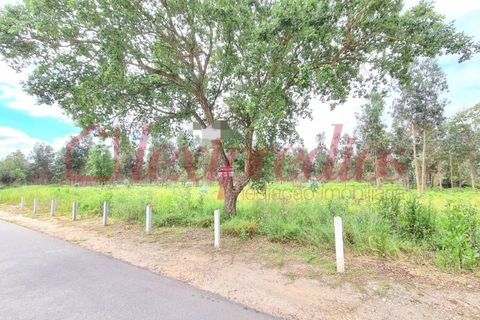 Helårsgrund i Agueda, Aveiro, Agueda - € 150.000 | Ref: AG 3625 - foto 4