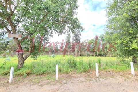 Helårsgrund i Agueda, Aveiro, Agueda - € 150.000 | Ref: AG 3625 - foto 5
