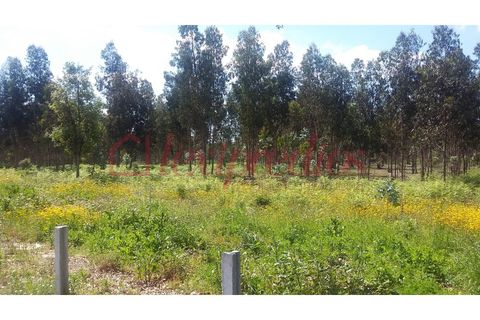 Helårsgrund i Agueda, Aveiro, Agueda - € 150.000 | Ref: AG 3625 - foto 7