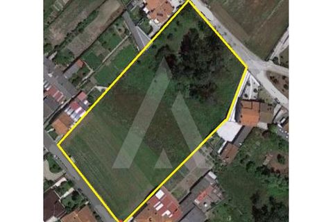 Helårsgrund i Anadia, Aveiro, Anadia - € 220.000 | Ref: 1011203/21 GL - foto 12