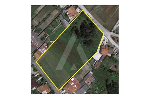 Helårsgrund i Anadia, Aveiro, Anadia - € 220.000 | Ref: 1011203/21 GL - foto 13