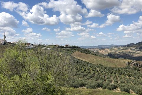 Stadthaus in Olvera, Cadiz, Olvera - € 120.000 | Ref: z495 - Foto 10