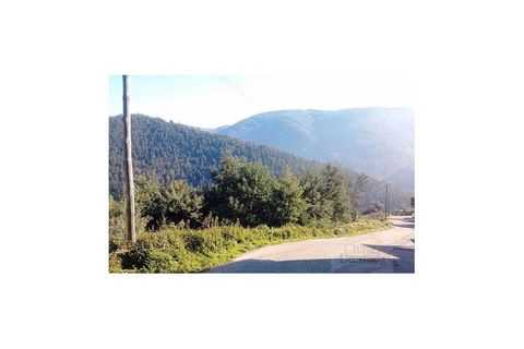 Helårsgrund i Coimbra, Coimbra, Coimbra - € 27.500 | Ref: 15050 - foto 1