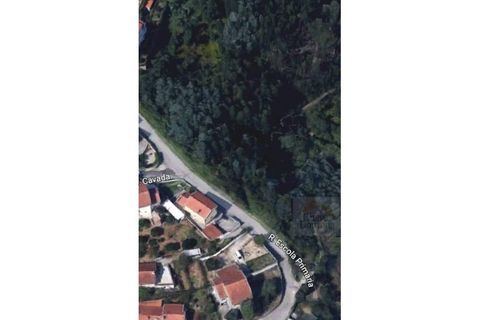 Helårsgrund i Coimbra, Coimbra, Coimbra - € 27.500 | Ref: 15050 - foto 3